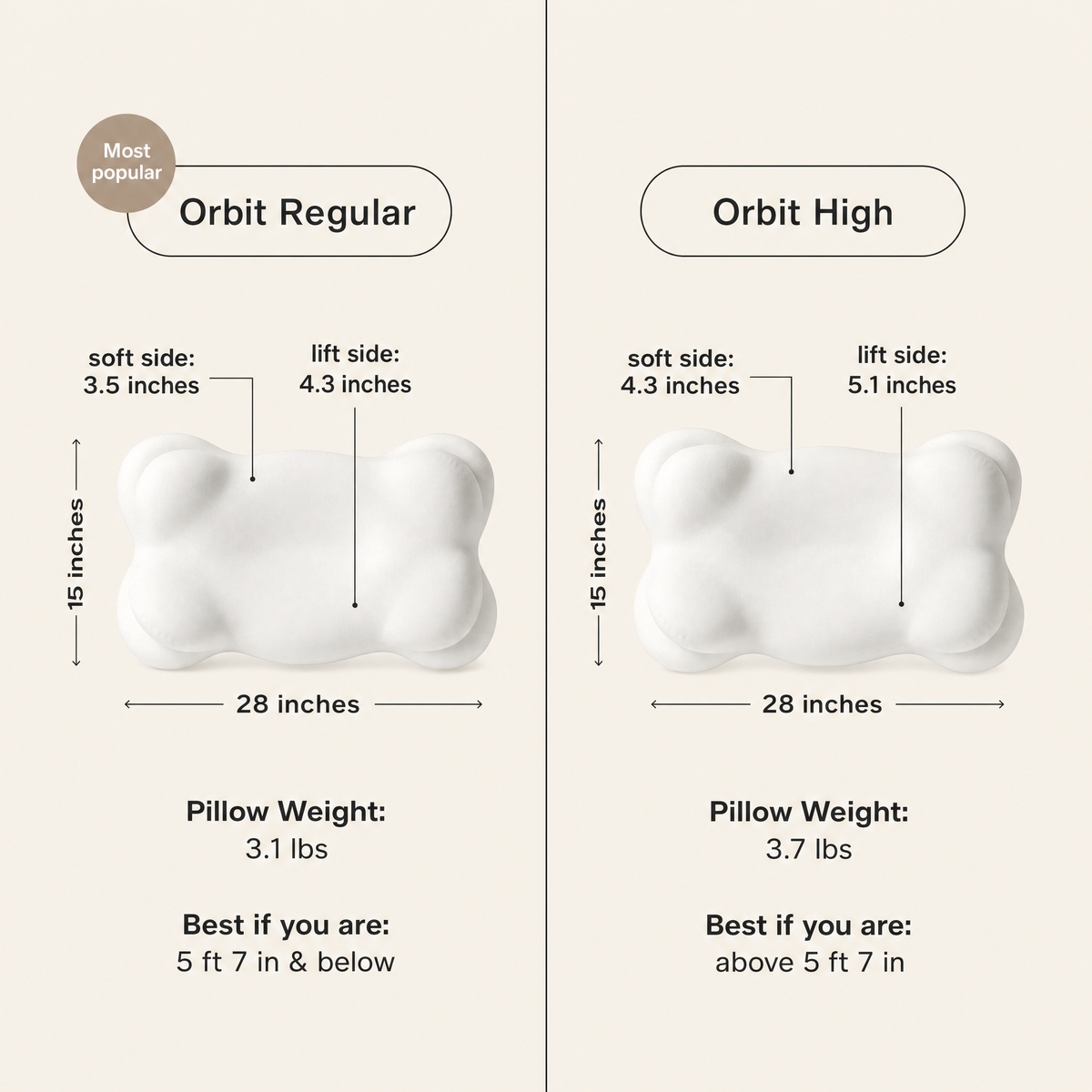 Orbit size guide, Regular and High heights